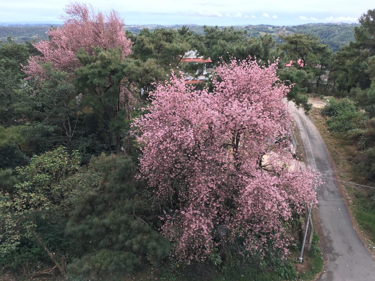 Orange Homestay Шилонг Екстериор снимка